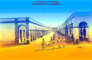 Laghouat - Avenue Margueritte- Collection Montaner